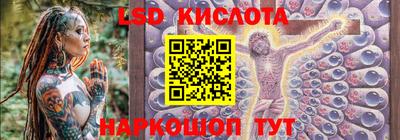 крисы Дубна
