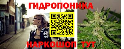 крисы Дубна