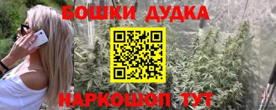 a pvp Гусиноозёрск